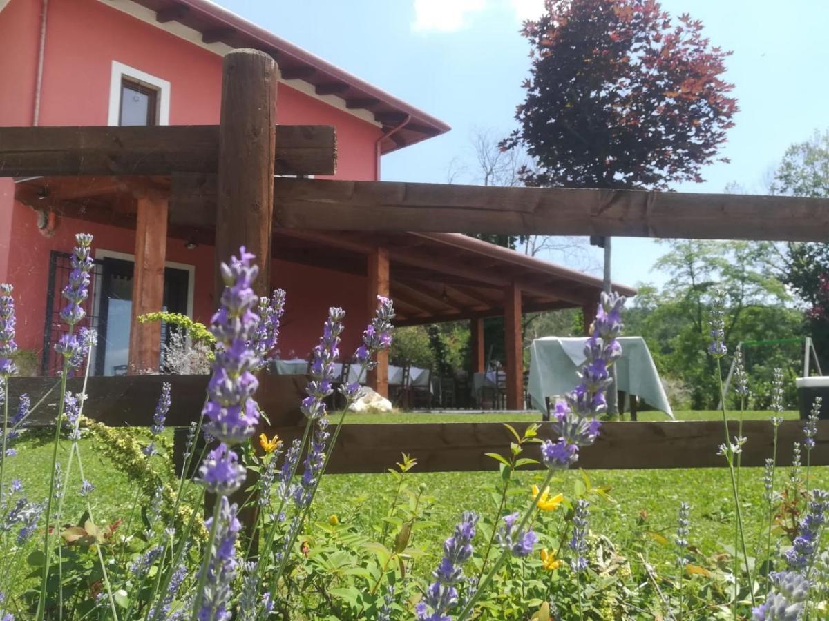 La Cascina Nel Bosco Bed and Breakfast Faicchio Eksteriør billede