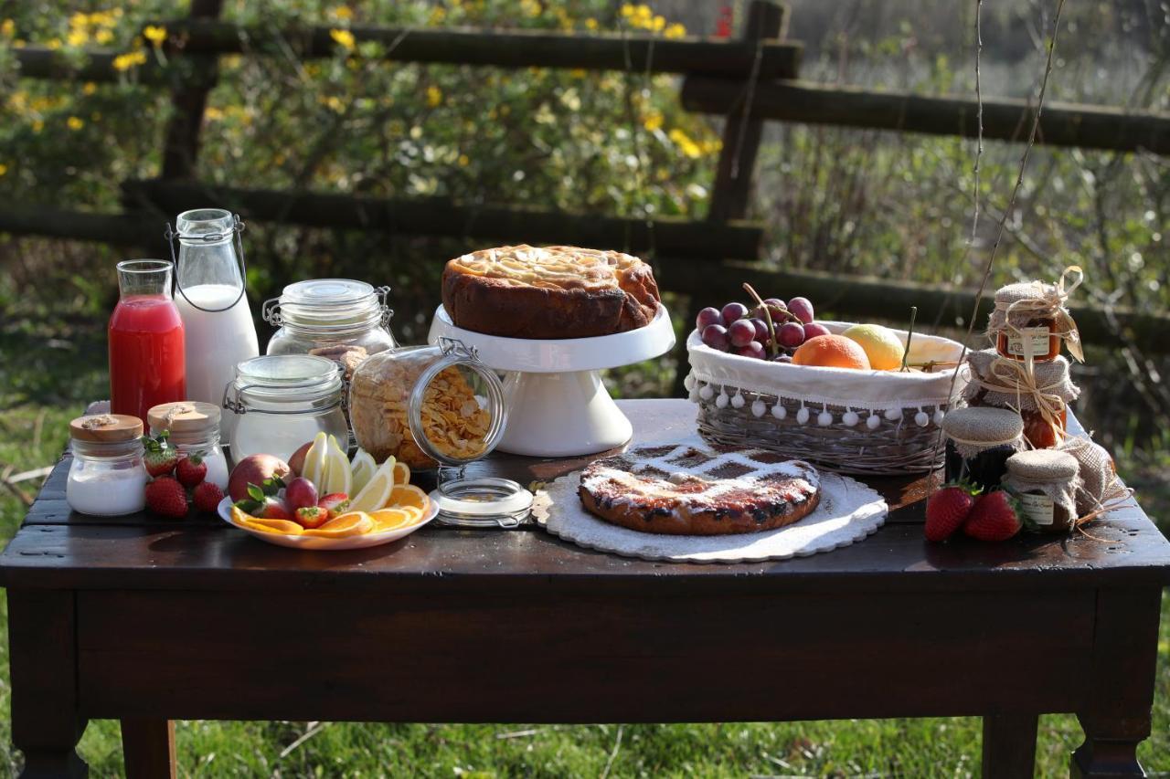 La Cascina Nel Bosco Bed and Breakfast Faicchio Eksteriør billede